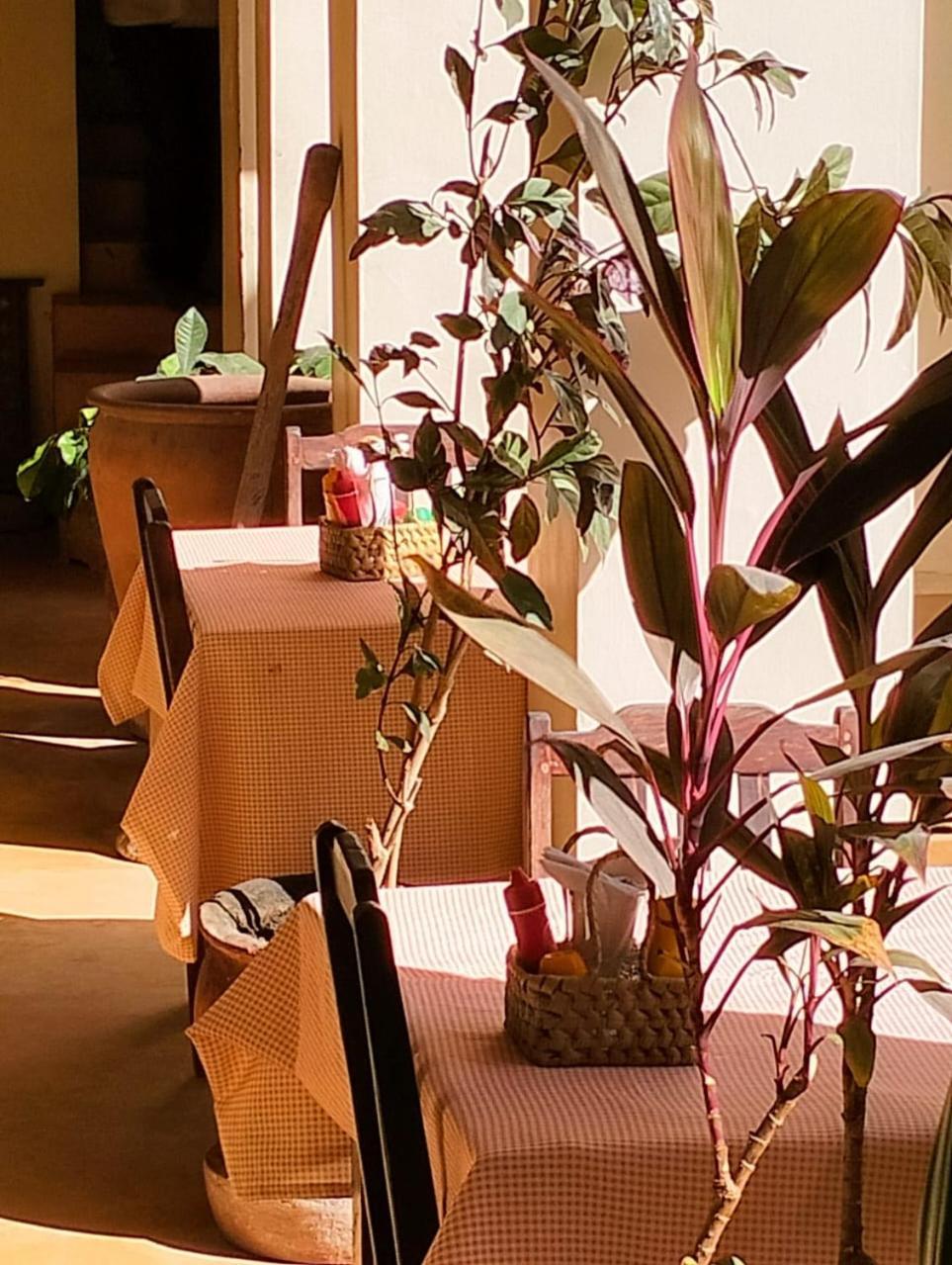 Msafini Hotel Lamu Luaran gambar